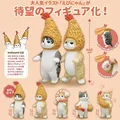 07 5PCS