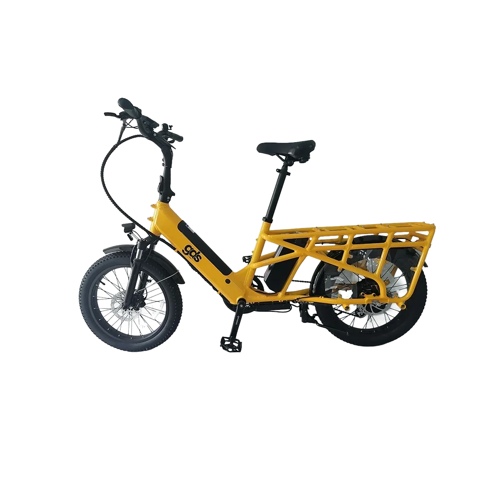 

48 В 350 Вт мотор, семейная доставка, электронный груз, две батареи, максимальная загрузка, семейный электровелосипед OEM, индивидуальный электрический велосипед