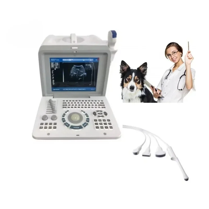 

Laptop Veterinary Ultrasound Scanner Cheap Price Vet Ultrasound Machine For Animals