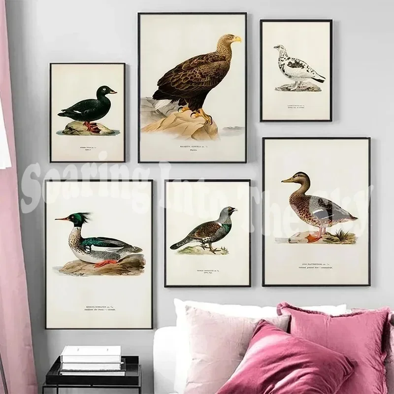 Vintage Duck Prints Rustic Mallard Duck Birds Lake Wall Art Poster Retro Nature Canvas Painting Pictures Farmhouse Room Decor