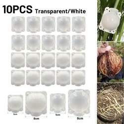 10pcs 5/8cm High Pressure Propagation Plant Rooting Ball Root Grow Box Graft Breeding Growing Case Transparent/white Planting