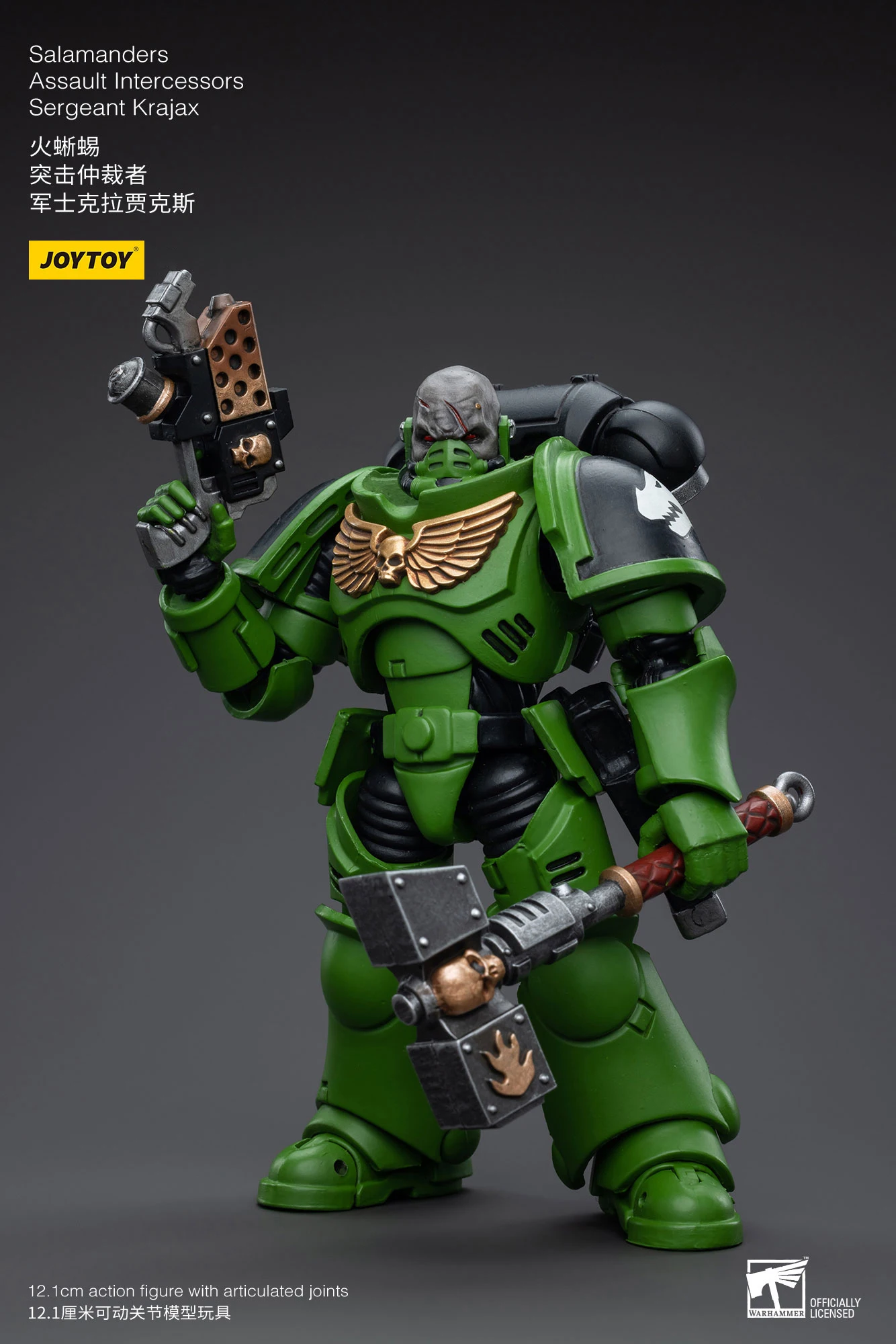 JOYTOY 40K 1/18 Salamanders Intercessors Sergeant Krajax Tsek'gan Brother Haecule Tol'vak Action Figure Model Gift for Collect