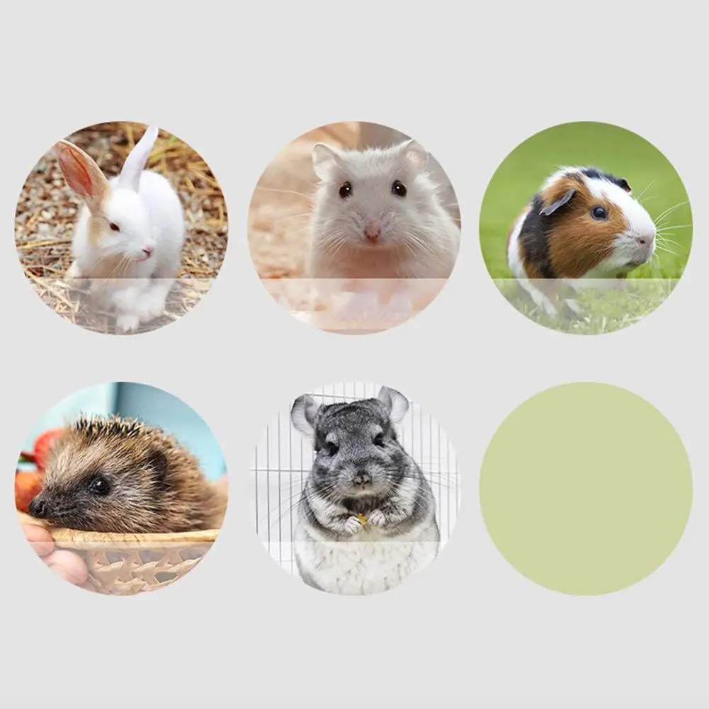 Esteras de césped tejidas a mano para hámster, Chinchilla Natural para hámster, conejillo de indias, pollos y loros