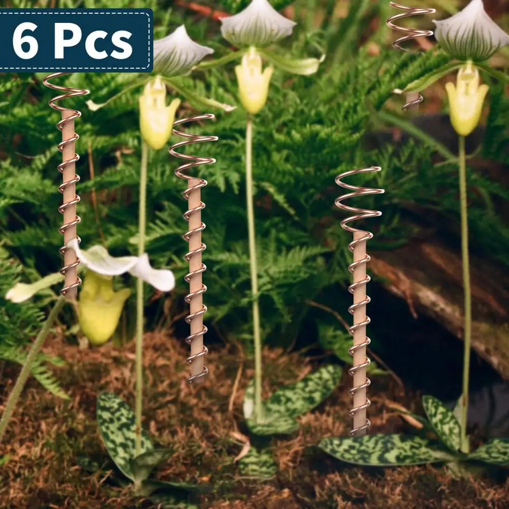 Pure Solid Wire 6pcs 12 Inch Grow Antennas Electric Plant Stakes Electro-culture Garden Coils for Indoor Outdoor Plant Vegetable