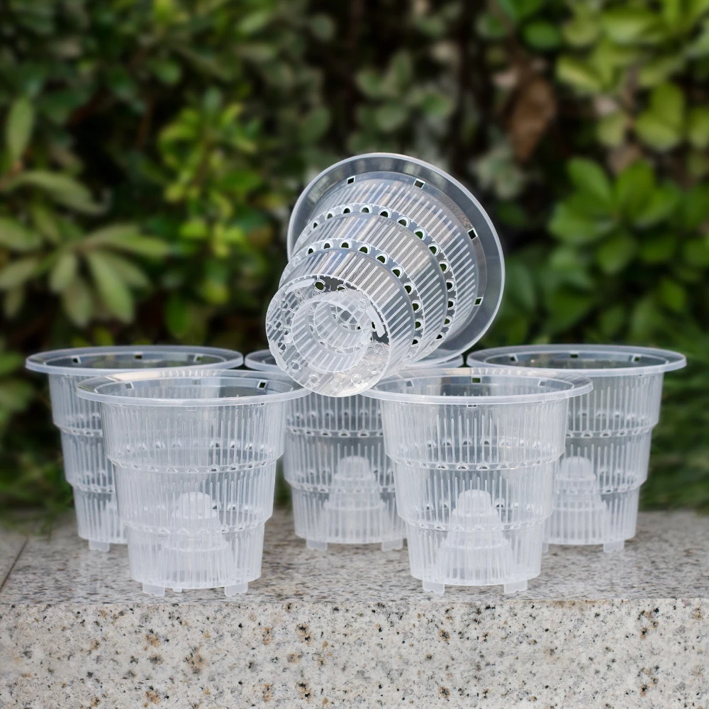 Meshpot 10 cm Clear Nursery Pots for Alocasia, Begonia Orchid, Clear Orchid Pots with Holes 6 Pcs