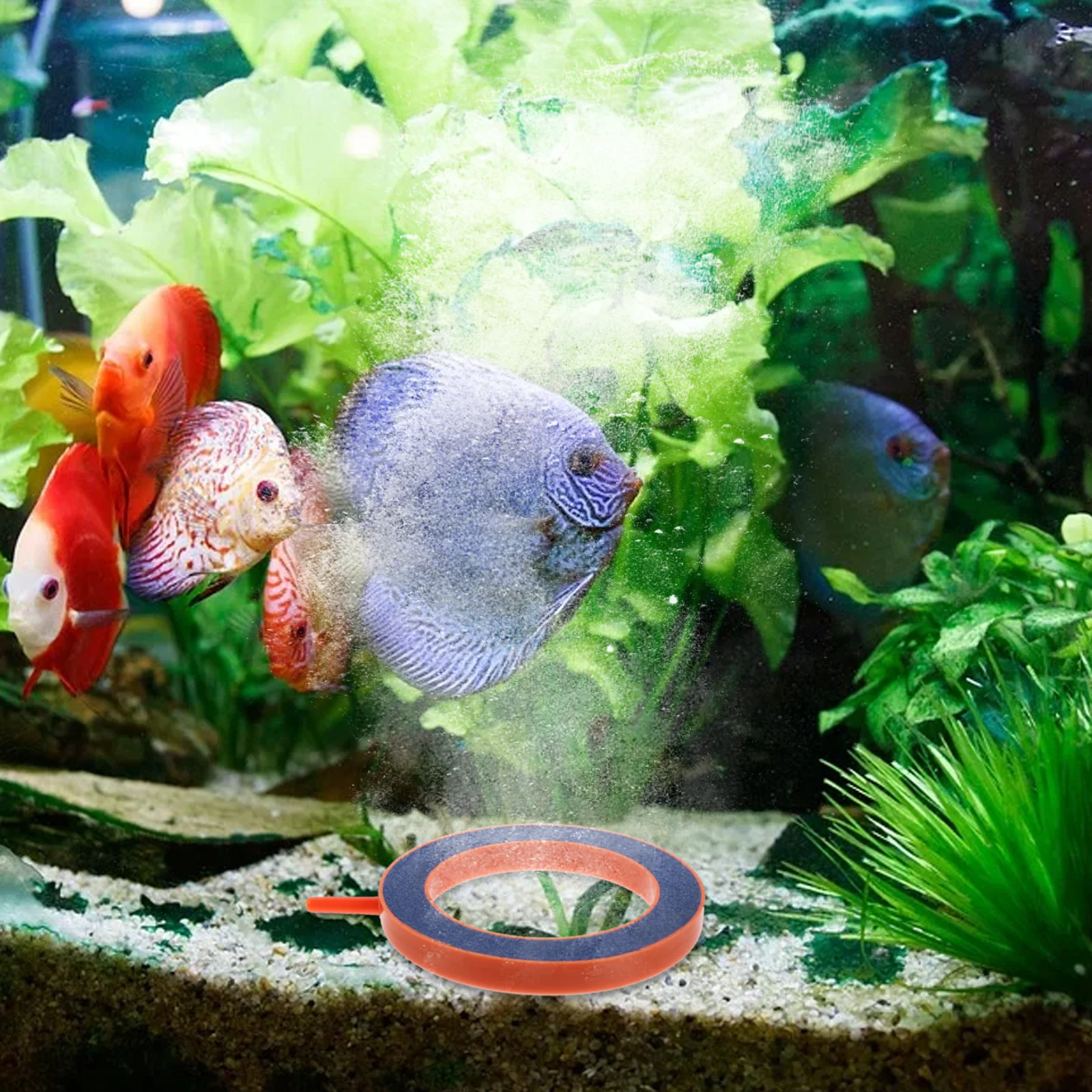 

2 pcs Air Stone For Aquarium Ball Air Stone Disc Increase Oxygen Flow Fish Tank Bubbler Diffuser Pond Bubbler Aeration Refiner