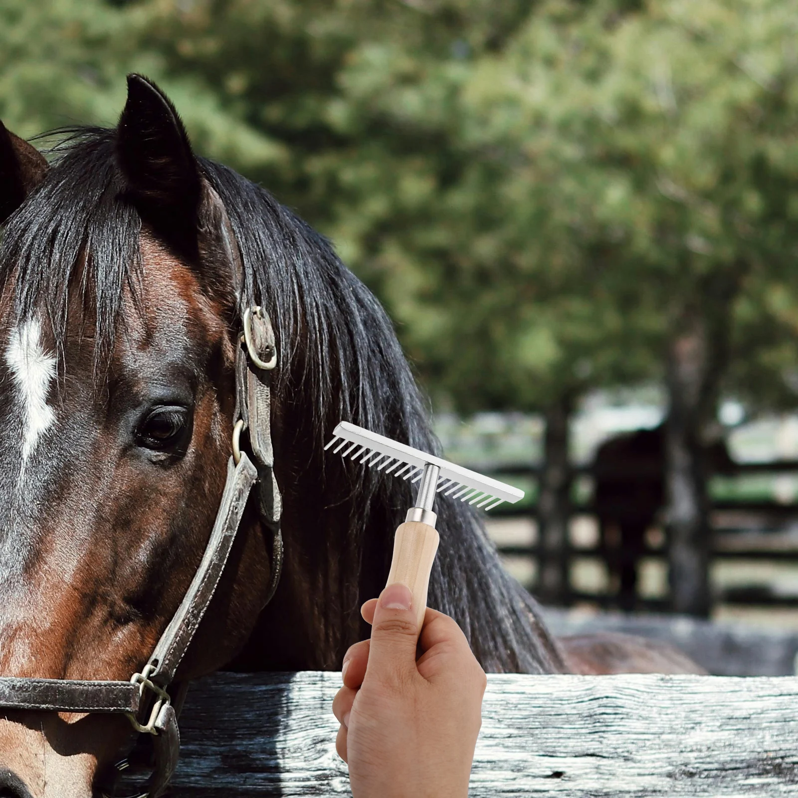 Horse Grooming Brush Metal Wood Handle Dematting Comb Dogs Cows Donkeys Livestock Pet Undercoat Rake Tool