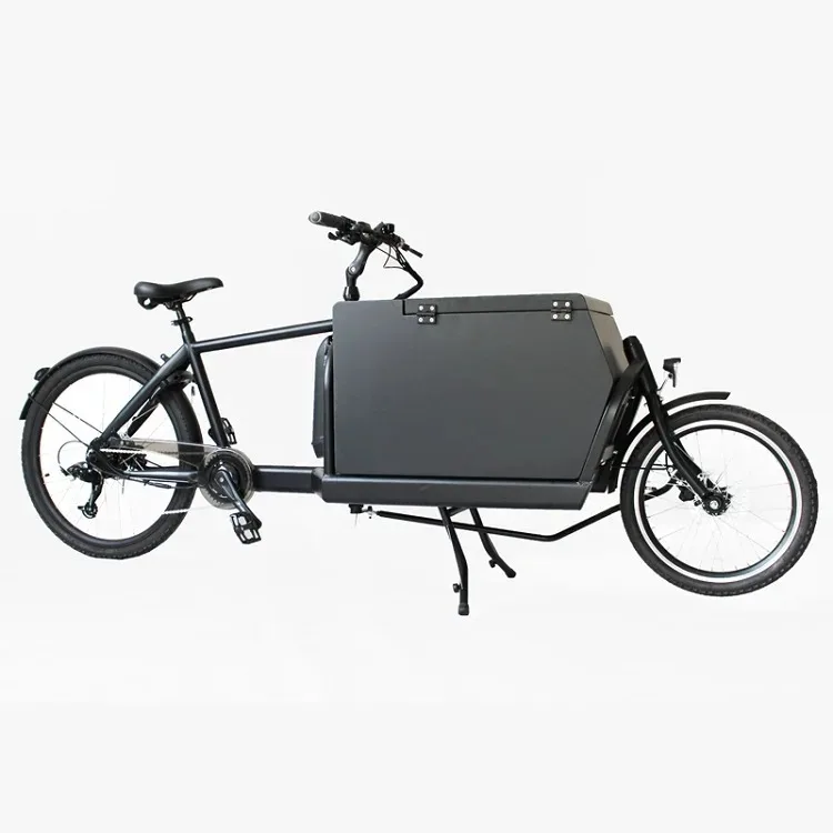 

Long John Bicycle For Adults Cargo Bike For Groceries New Design 2 Wheel Bike