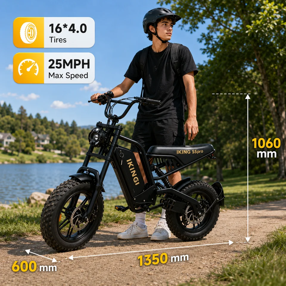 1000W Peak Motor Electric Bike 48V15Ah Removable Battery 16*4.0 Fat Tire E-bike 25MPH Max Speed Dual Suspension 7 Speed Retro Ebike for Adults image 8