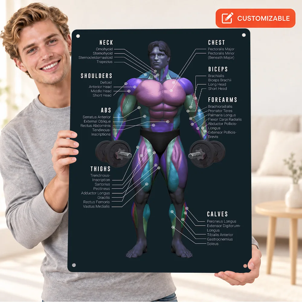 Muscle Chart Anatomy Gym Printed Poster Customized Aluminum Metal Sign Graphic Educational Wall Art For Classroom Trainer Gift