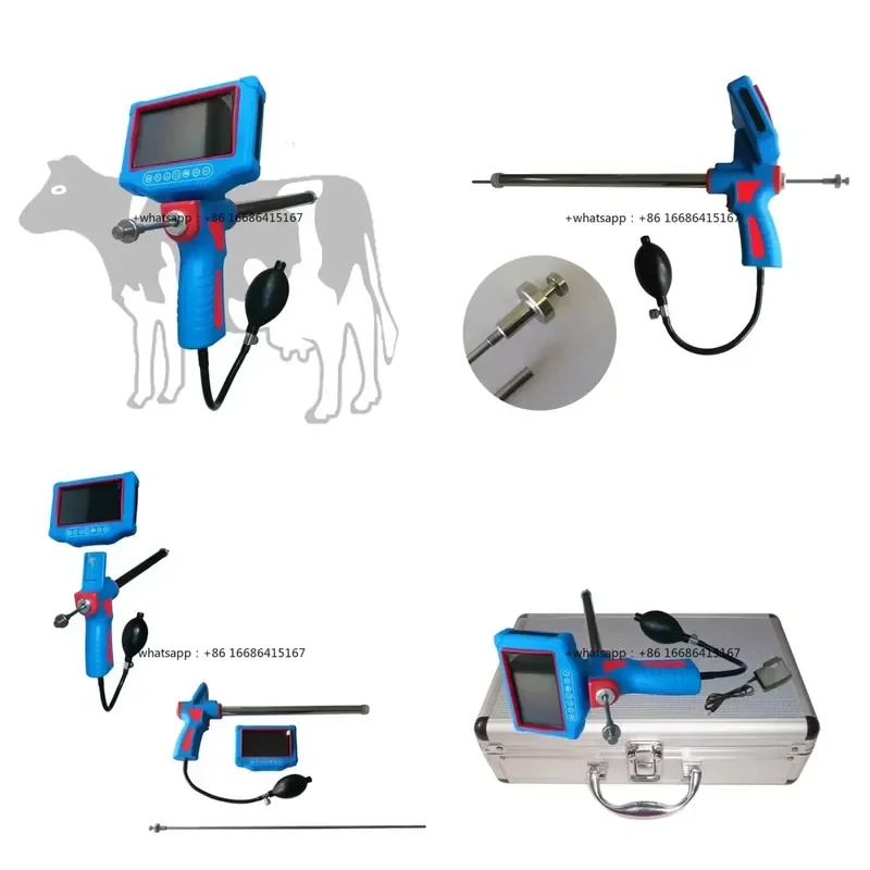 New Insemination Cow Artificial Insemination With Artificial Insemination Device