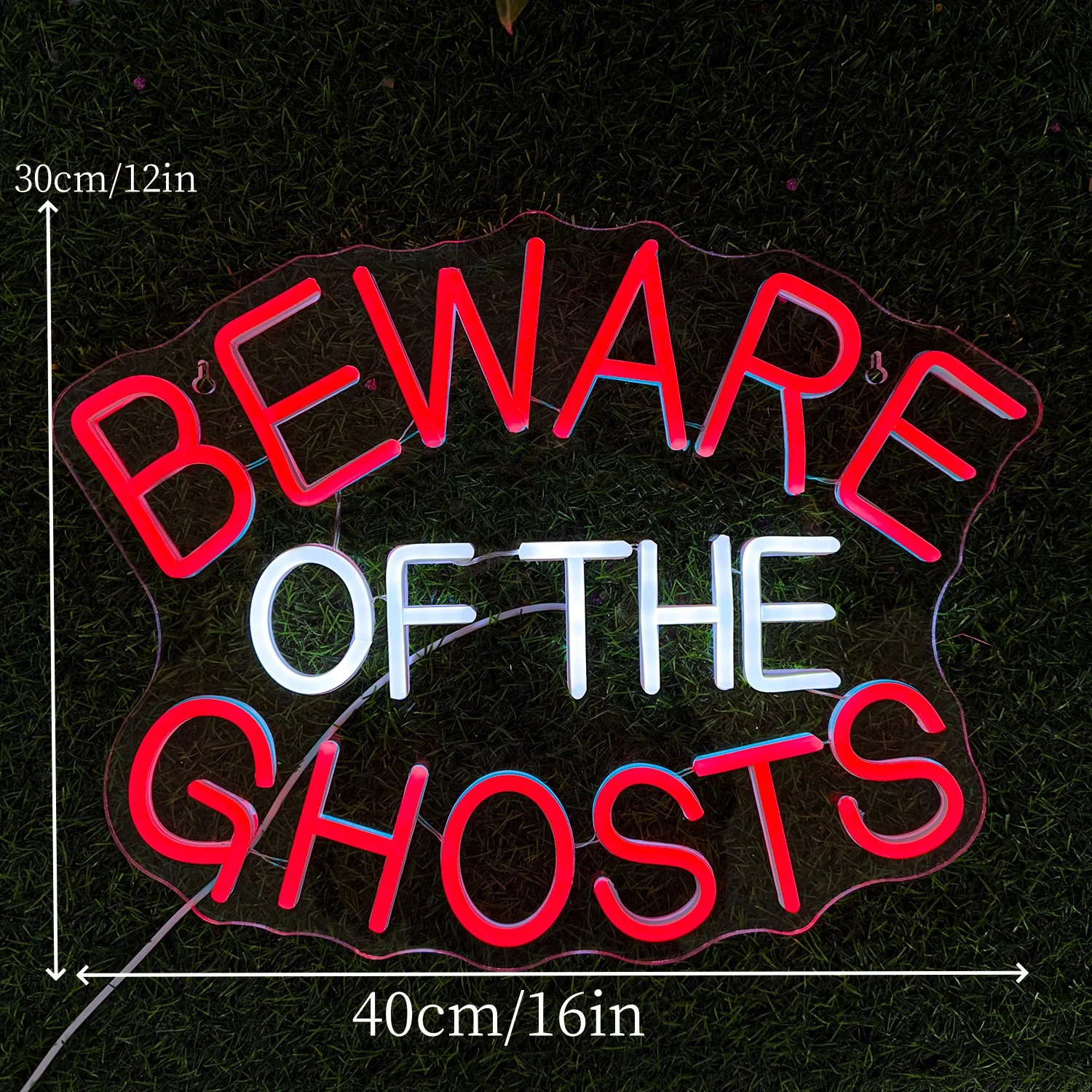 Watch Out For Ghosts Neon Sign Custom Room Wall Decoration Art Font Design 5V/12V For Bar Club Party Gaming USB Power Light