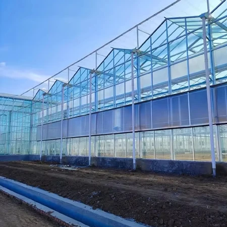 

Customized greenhouseIndustrial Agricultural Glass Greenhouse for Hydroponics & Soilless Cultivation