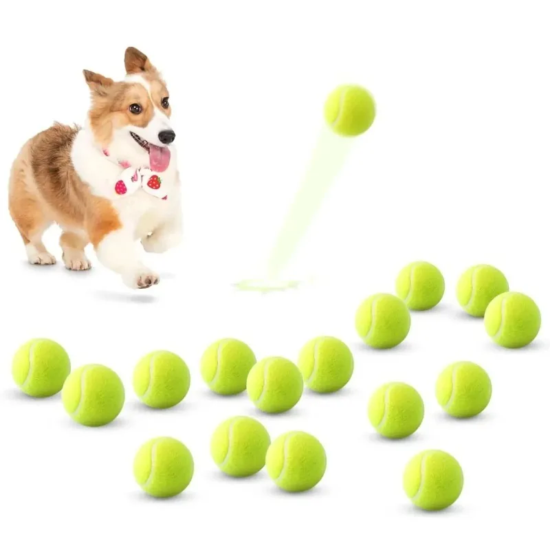 Thumbnail 3 - #62 Trending Dog Balls Right Now