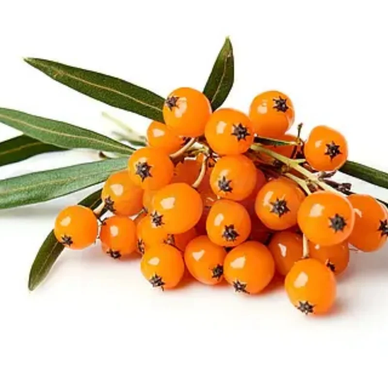 

4WD RTR 1/43 RC Скоростной автомобиль с полным приводом Радиоуправление 2,4 г Мини-гоночный дрифтинг-автомобиль Игрушки Высокоскоростная модель в подарок для мальчиков