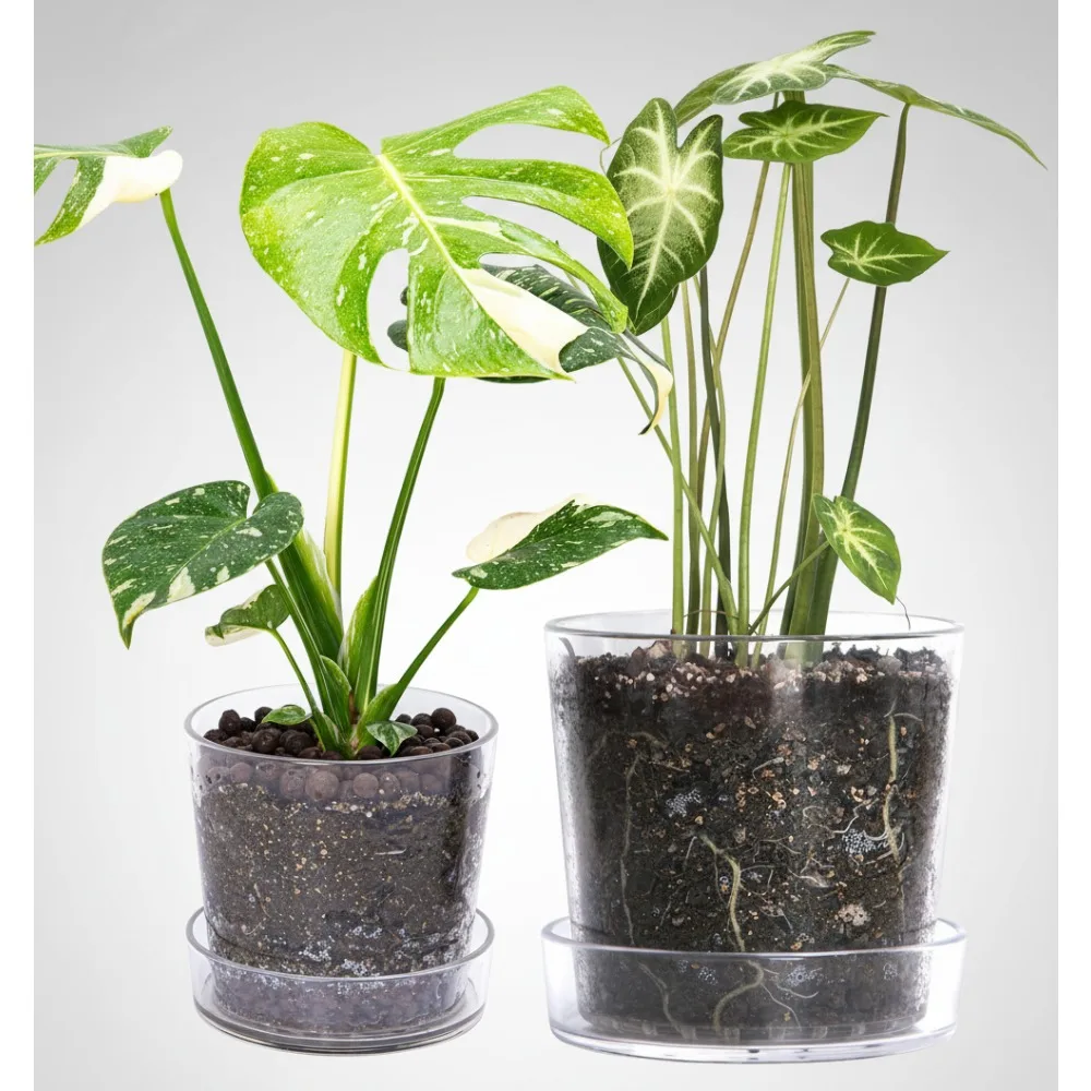 

6.5 Inch 8 Inch Clear Acrylic Plant Pot with Tray, Drainage Holes for Indoor Plants, Orchids, Succulents - Home Garden Decor