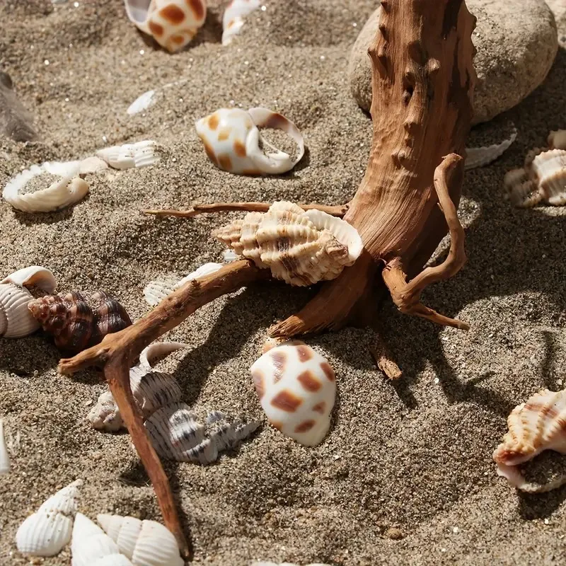 Upgrade Your Aquarium with Unique 7-26CM Driftwood Cuckoo Roots – Only .05!