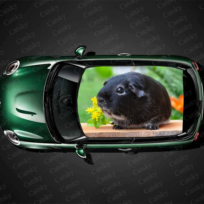 Black Guinea Pig Print Car Roof Sticker Wrap Racing SUV Auto Accessories Packaging Painted PVC Car Hood Graphic Decal Decoration