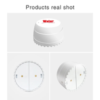 ABBO-Tuya Smart Wifi Water Leak Detector Wireless Flood Alarm Sensor Wifi Water Leak Detector
