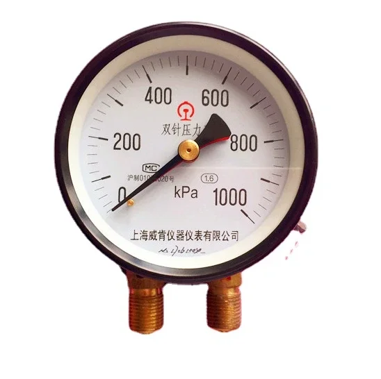 YZS102 1000KPA 1200kpa 1600kpa Double Needle and Double Tube Pressure Gauge Special for Railway