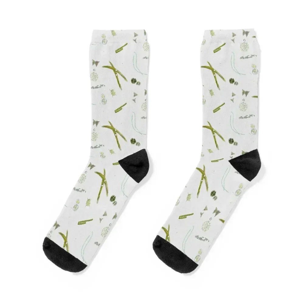 Algae Print Socks shoes winter thermal New year's basketball Socks Woman Men's