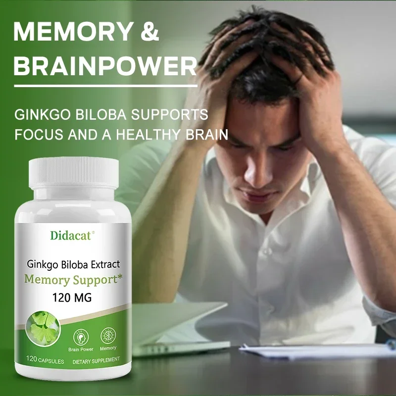 Ginkgo Biloba Extract Capsules - Promotes Brain Function and Memory, Attention, Antioxidant, Anti-Aging, Vegetarian