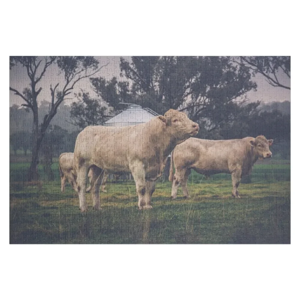 

The Charolais Jigsaw Puzzle Custom Child Gift Works Of Art Woods For Adults Custom Kids Toy Puzzle