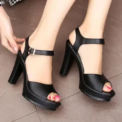 Fish Mouth Women's Sandals for Ladies Shoe Summer 2024 Peep Toe Women Heels Platform Sandals Luxury Sandal black white33-43