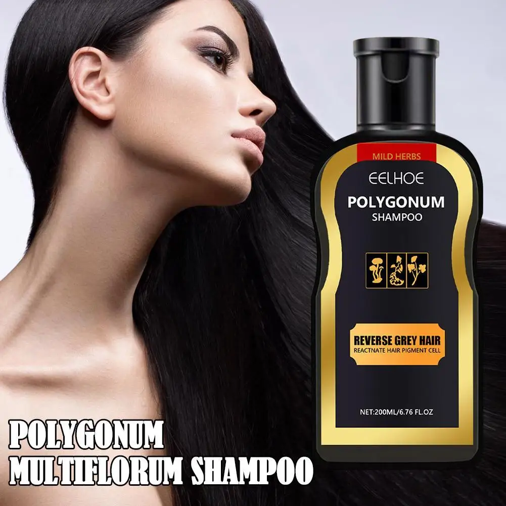 200ml Natural Organic Polygonum Essence Hair Darkening Shampoo Mild Formula Hair Shampoo Gray Hair Reverse Cleansing