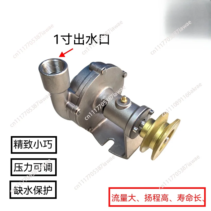 1 Inch Stainless Steel Marine Seawater Pump, Pulley Driven Centrifugal Engine Cooling Pump for Modified Diesel Engines