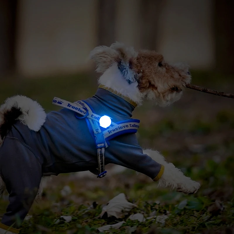 Truelovepet Out Walking Waterproof Safety LED Flashing Light Rechargeable LED Light Pendant For Dogs Cats Pets TLD19103