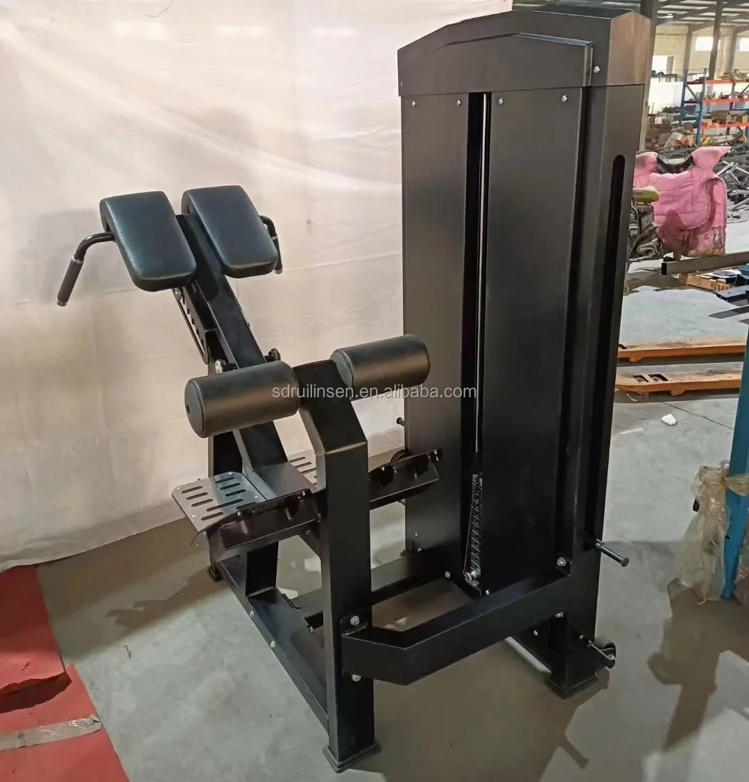 Back Extension Gym Center Commercial Gym Machines Bodybuilding Gym Equipment Fitness Strength Machine