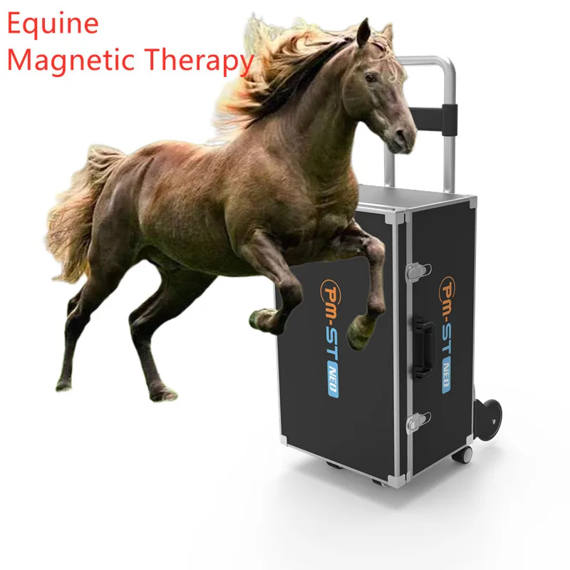 

PEMF Physio Magneto Machine PMST VET Therapy For Horse Soft Tissue Injuries Treatment