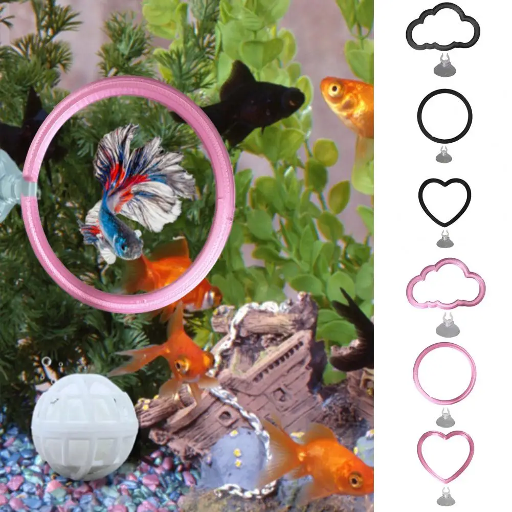 Betta Fish Training Loop Betta Fish Exercise Ring with Suction Cup Fish Training Feeding Ring Aquarium Enrichment Toy for Betta