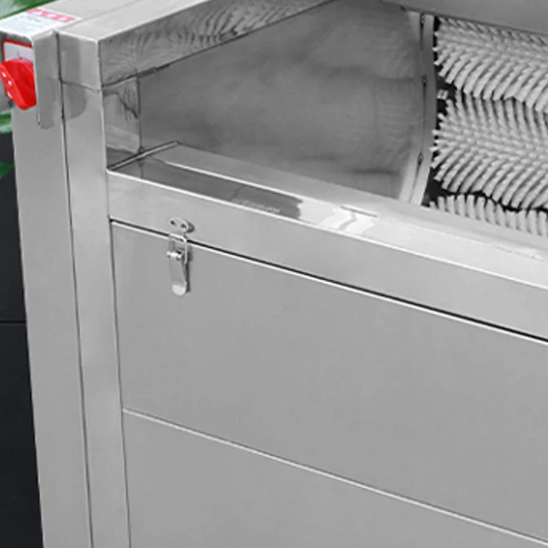 

Professional Vegetable Fruit Brush Washing Machine Chili Potato Carrot Peeling Cleaning Machine