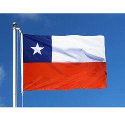 90x150cm Chile Flag Polyester Flag Banner Flying Decorative Flags and Banners of Chile and Banners
