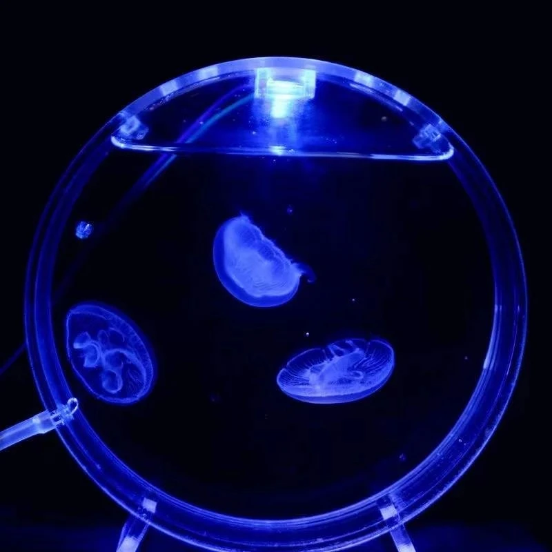 Aquarium desktop jellyfish tank starfish mini tank dream lantern bubble oxygen supply aquarium accessories 5V 1.5W