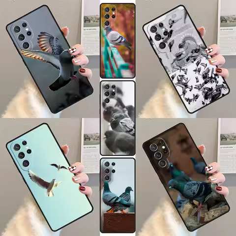 Pigeons Collage Phone Case For Samsung Galaxy S23 S21 S20 FE S24 S22 Ultra Note20 S10 S9 S8 Plus Silicone Cover