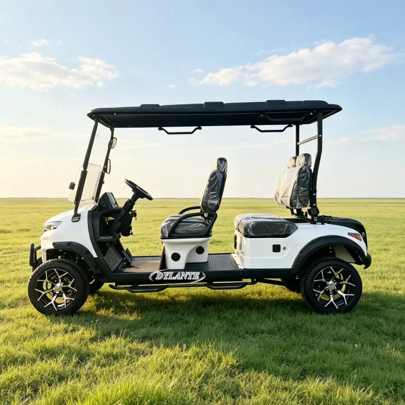 2 4 6 Passenger Electric Vehicle Alloy Rim Off-road Tires Waterproof Wiring Harness Canopy Park Sightseeing Golf Buggy Cart