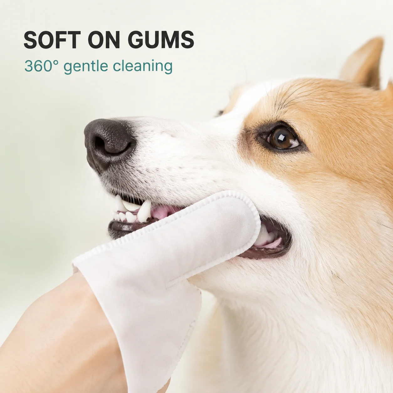 100 Stück Fingerwischtücher für Hunde und Katzen, sanfte Mehrzweck-Reinigungstücher für die tägliche Pflege von Zähnen, Ohren und Augen. – Detail 7