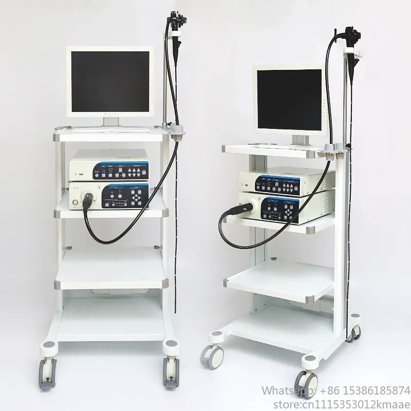Vequyn Flexible Gastrointestinal Endoscope — Veterinary Clinic & Hospital Endoscopic Camera System for Gastroscope and