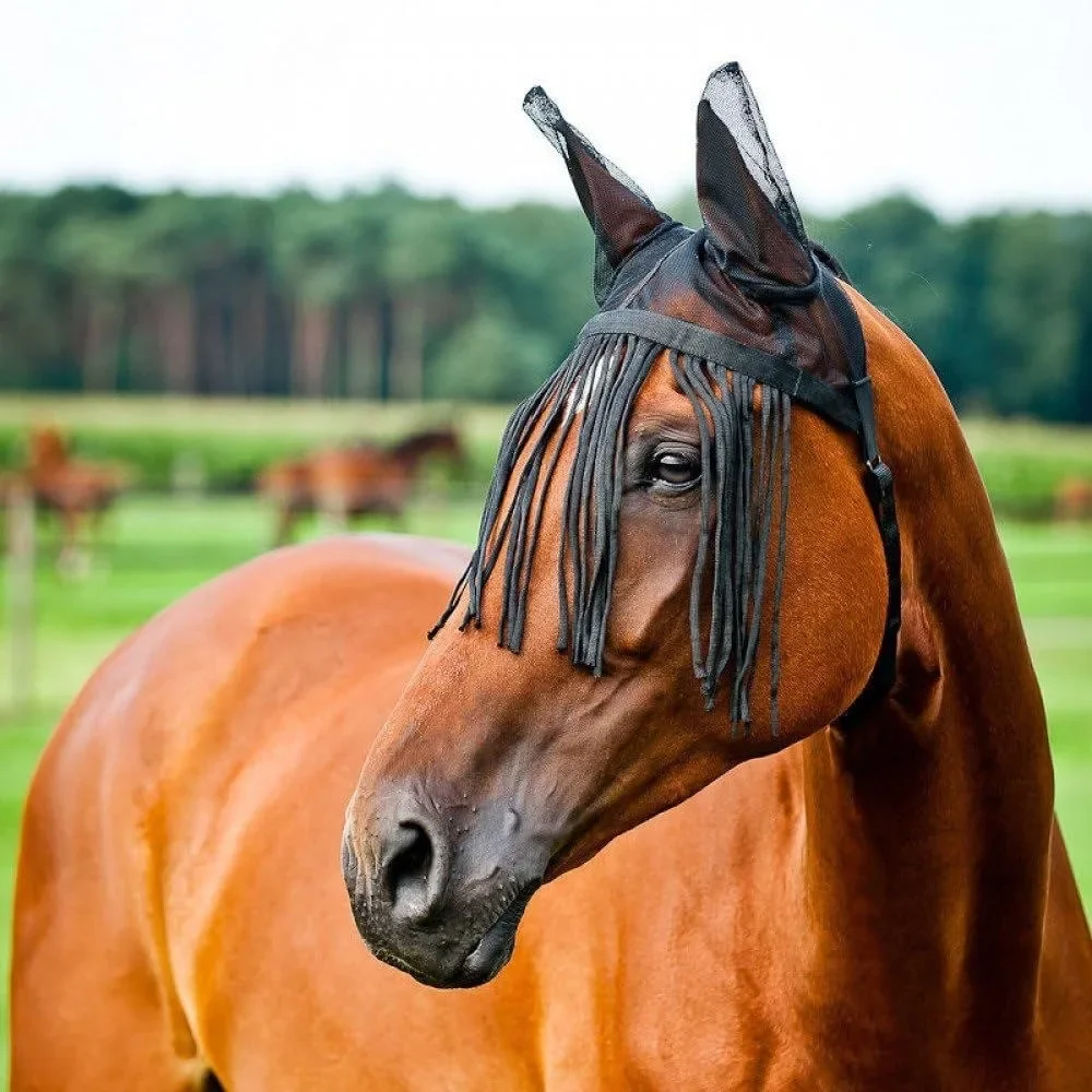 Breathable Horse Fly Bonnet with Fringe Tassels, Anti Mosquito Insect Protection Equine Ear Veil Summer Equestrian Horse Tack