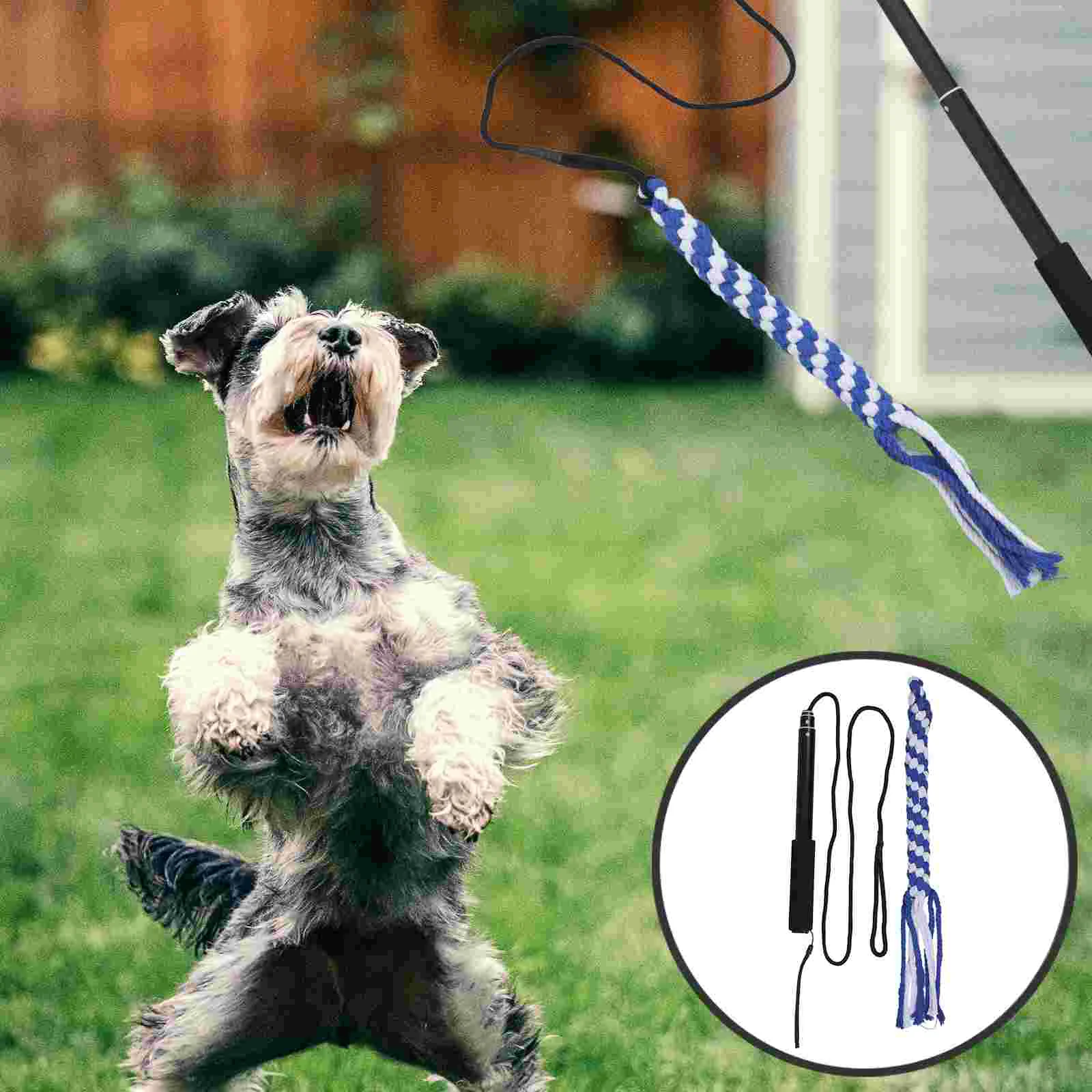 Hond Stick Teaser Jagen Staart Speelgoed Interactief Puppy Speelgoed Huisdier Paal Uitschuifbare Flirt