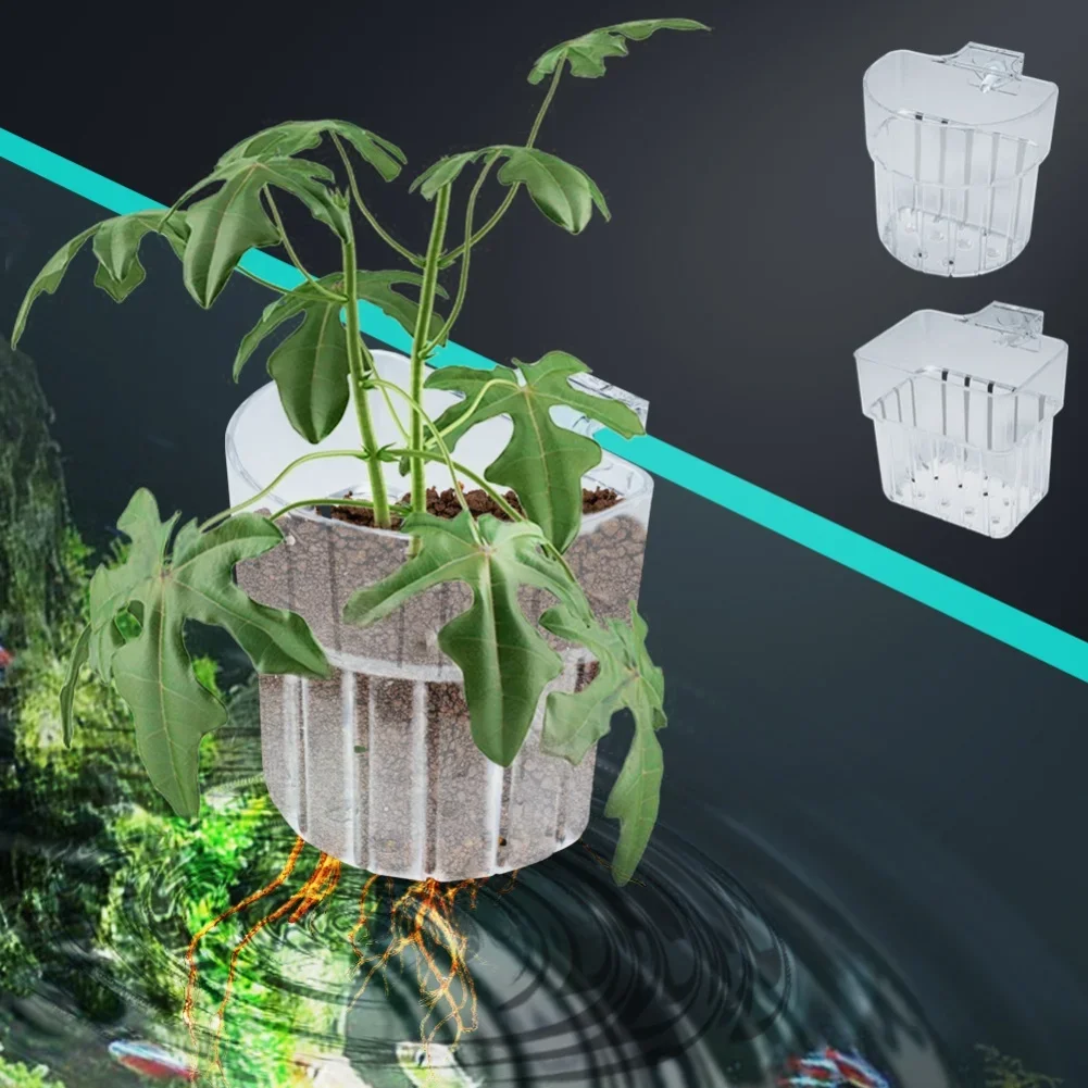 

Держатель для аквариумных растений Healthy Growth, как на фото, прозрачный, эстетичный, элегантный декоративный элемент