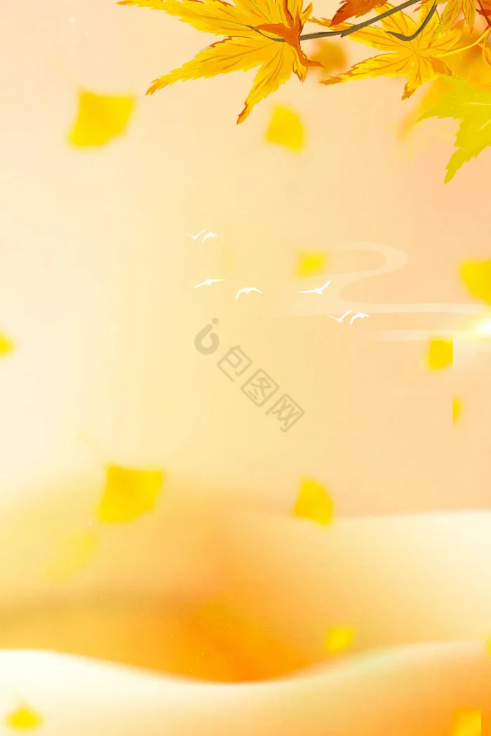 

10 Pieces Front Rear Lower Arm Set Parts Arms for LC Racing Ptg-2 1/10