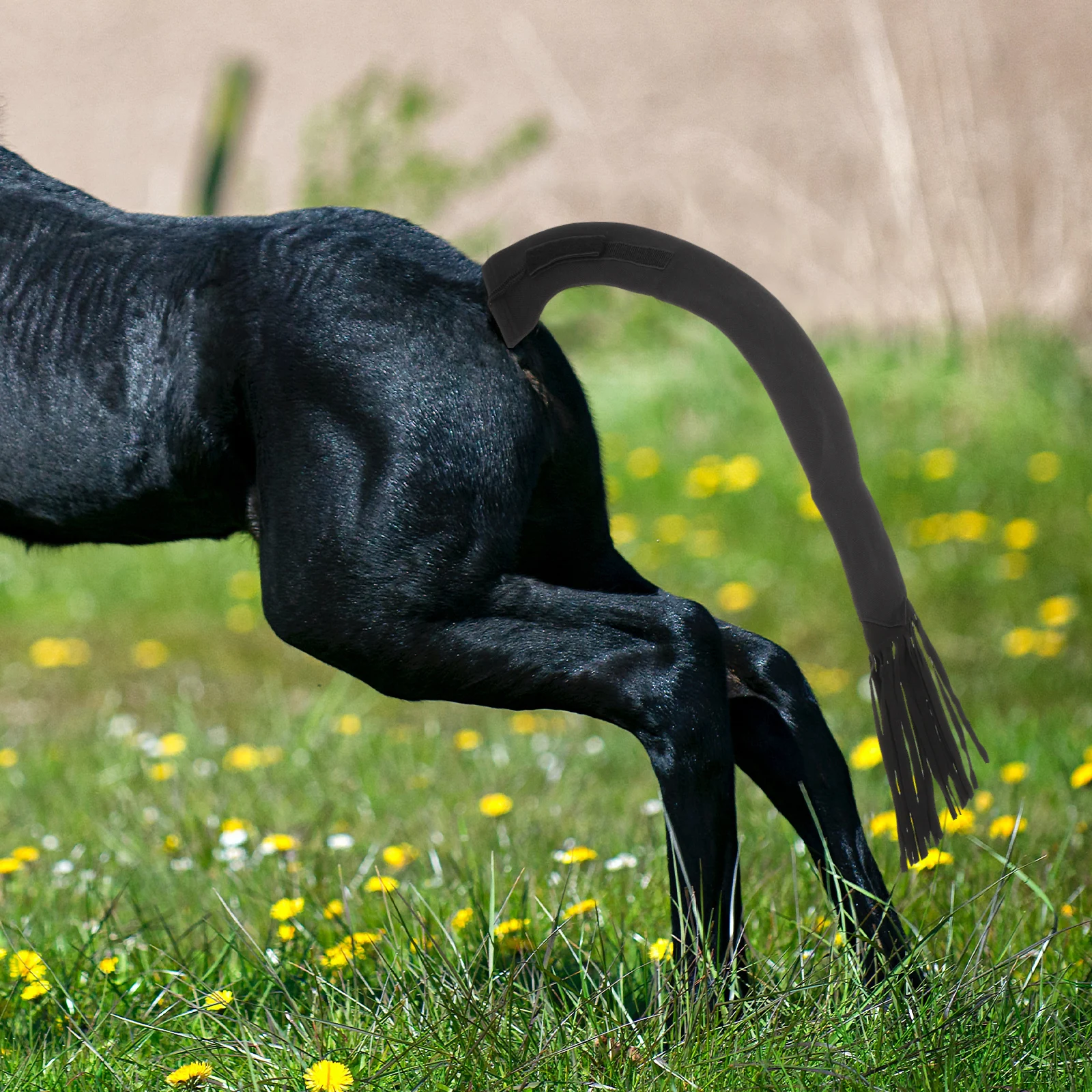 

Multi-Functional Protector Durable Non-Woven Fabric Cover Elastic Design For Grooming Supplies Cattle Bag Reusable Farm