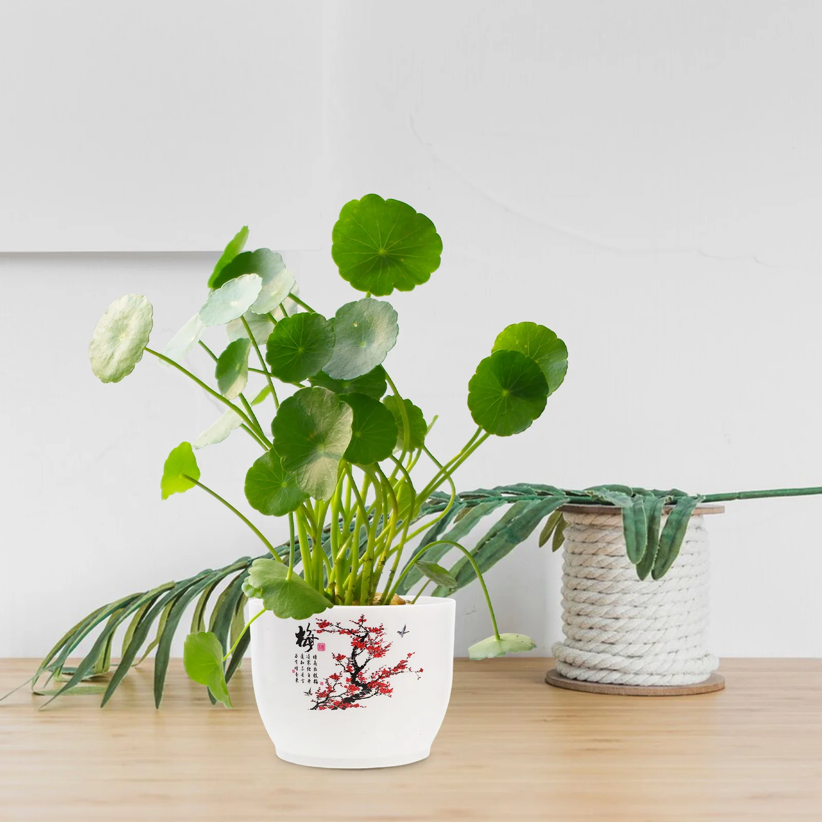 

2Pcs Thick Material Flower Pot Smooth Surface Decorative Planter Beautiful Look Plastic Home Office Balcony Hydroponic Container