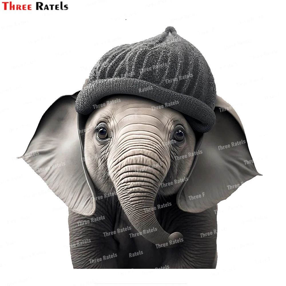Three Ratels K776 Adorable Baby Horse Wearing a Beanie Perfect Nursery Room Decor for Kids And The Ultimate Birth