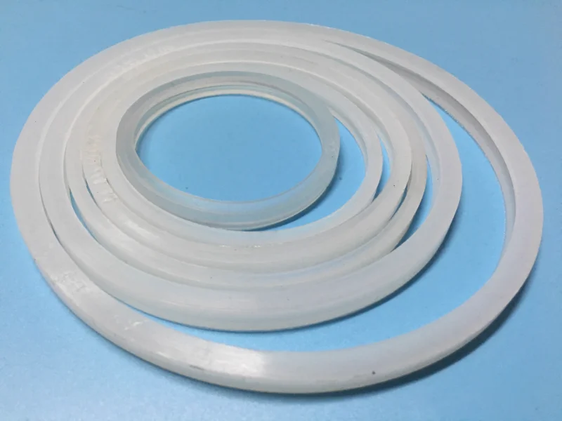 Gasket Silikon Cincin Penyegel Katup Periksa Penyegel Katup Satu Arah, Gasket Berlubang Penyisipan Horizontal Aman untuk Makanan (10 Buah)