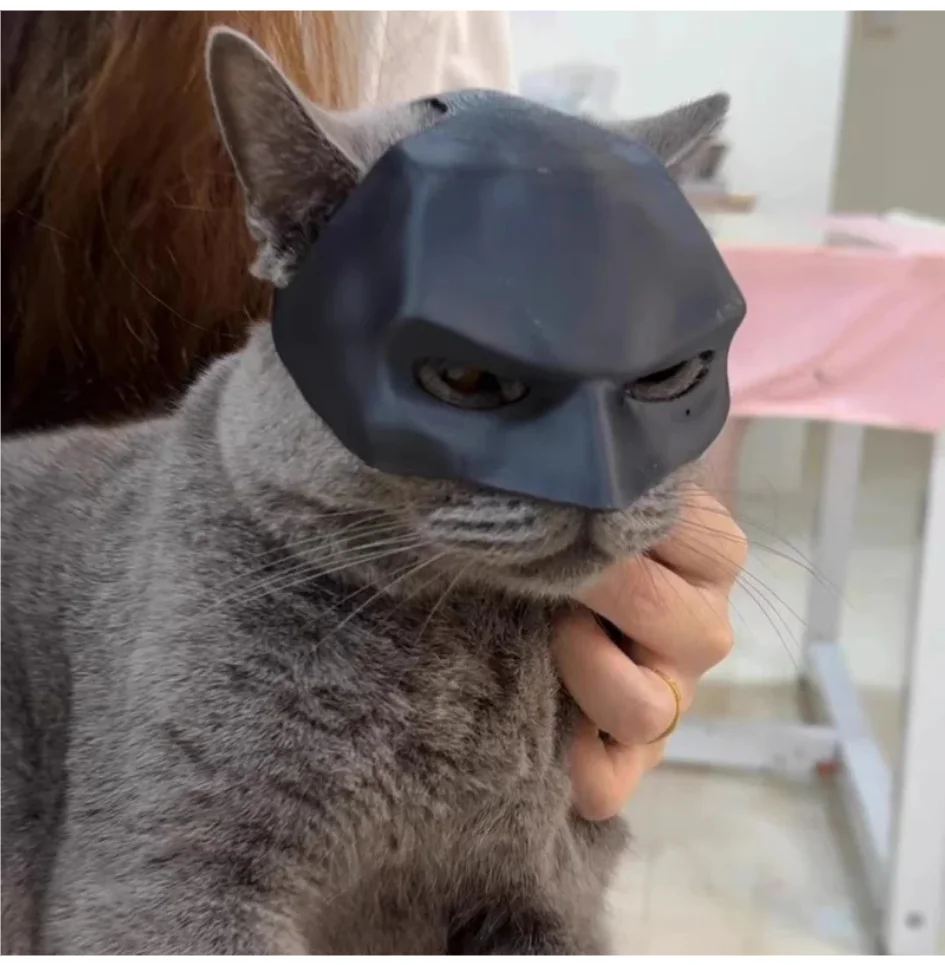 

Tong Cat Bat Cool Man Mask Cat Avenger Mask Matte Cute Bat Mask Superhero Toys Cat Bat Pet Man Mask For Cat And Dogs